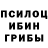 Псилоцибиновые грибы Psilocybe Jordy Chevez
