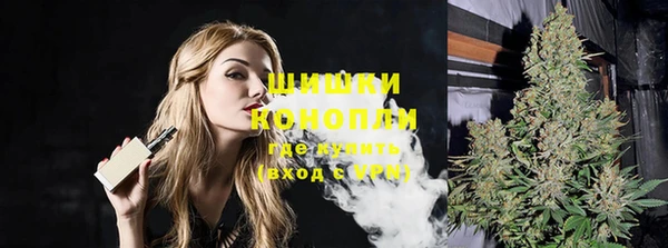 ГАЛЛЮЦИНОГЕННЫЕ ГРИБЫ Покачи