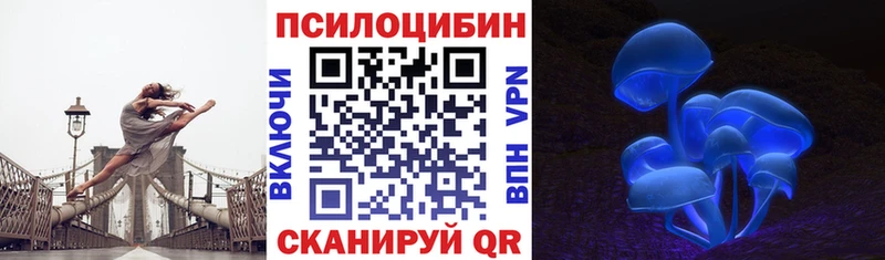 где найти наркотики  Пошехонье  Псилоцибиновые грибы Psilocybe 