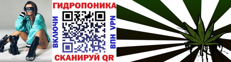мега ССЫЛКА  Пошехонье  Шишки марихуана гибрид  как найти закладки 
